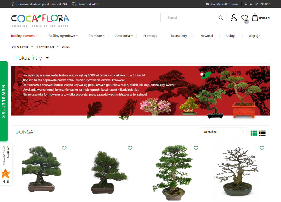 Bonsai dla początkujących - jak zacząć przygodę z miniaturowymi drzewkami?